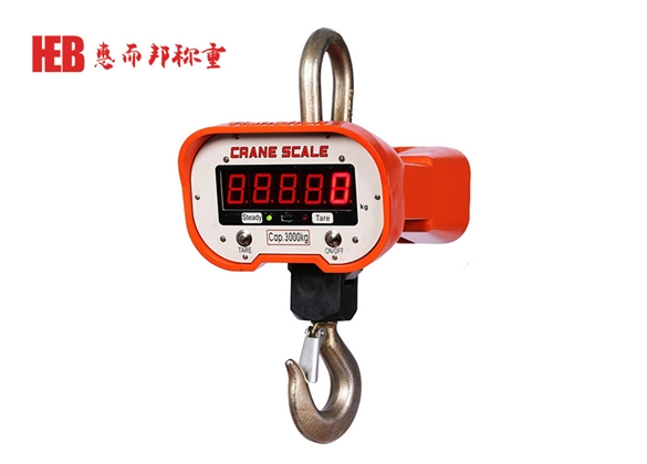 直視電子吊磅